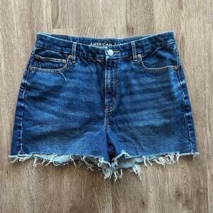 American Eagle Strigid Curvy Relaxed Raw Hem Dark Wash Denim Shorts Size 10